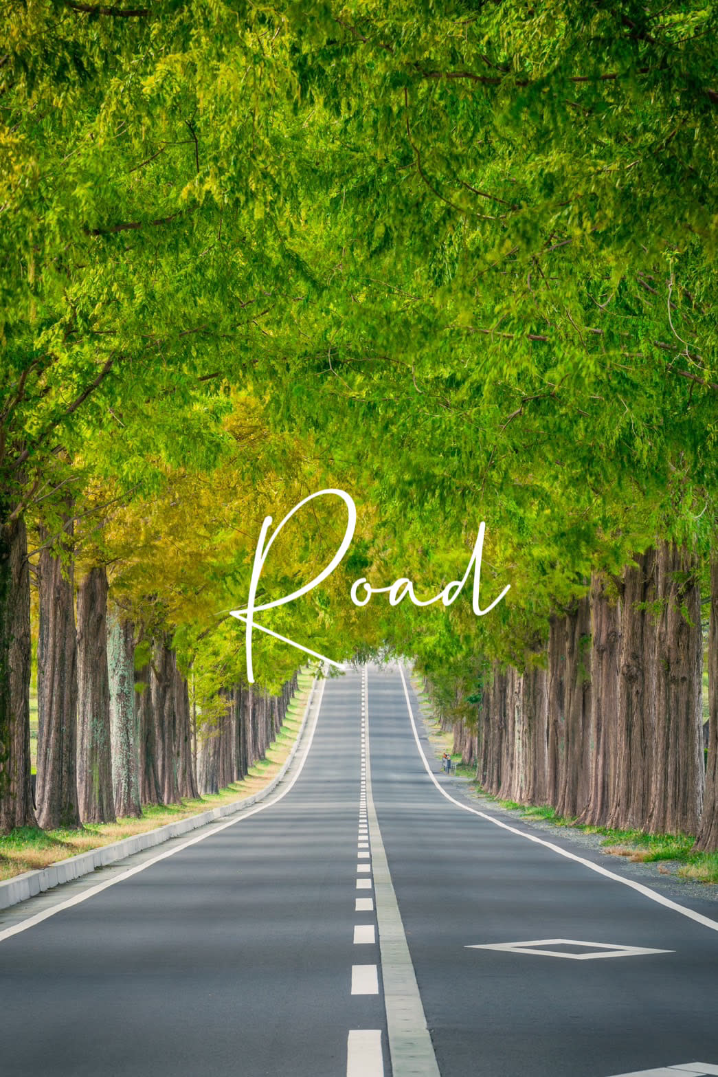 Road_1