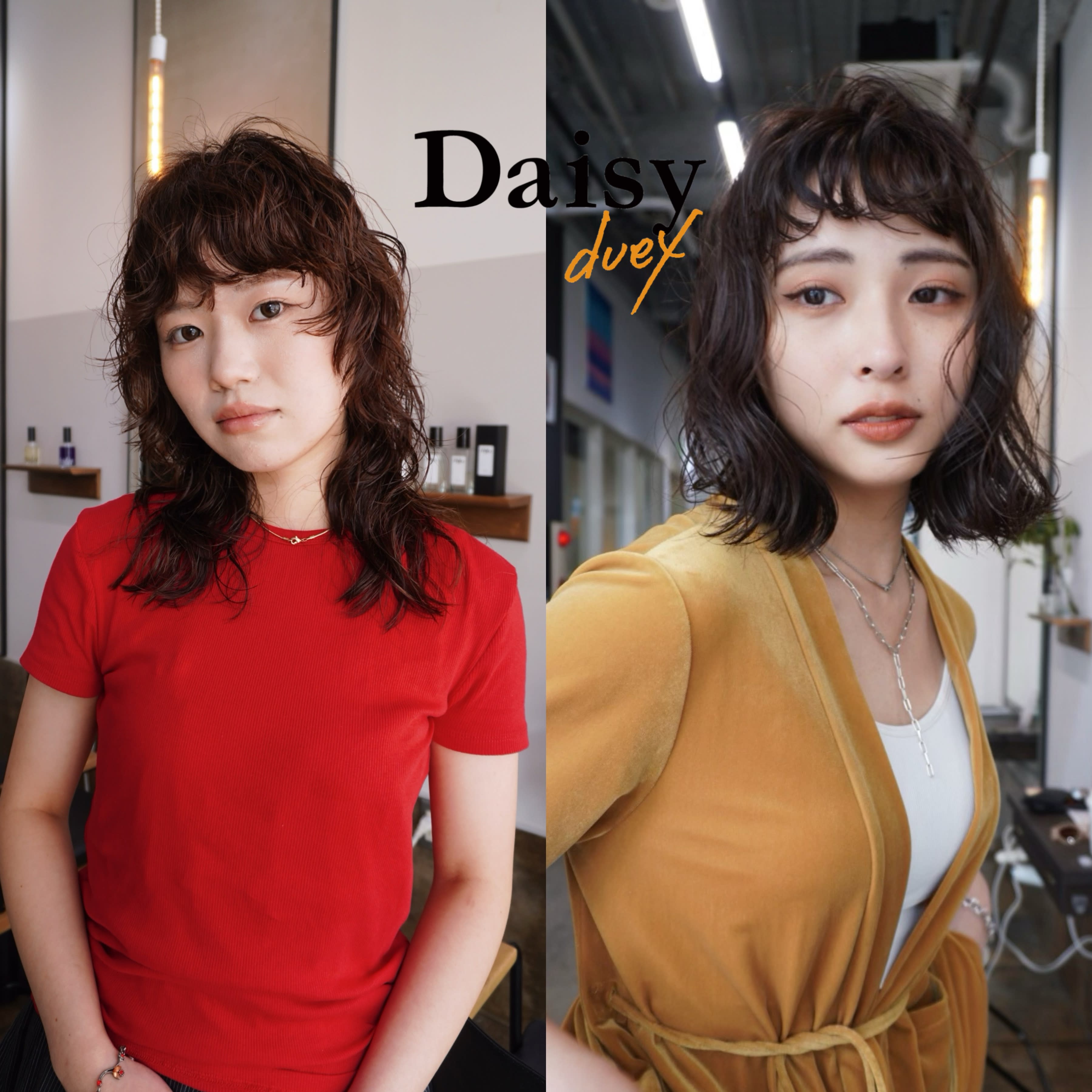 Daisy duex