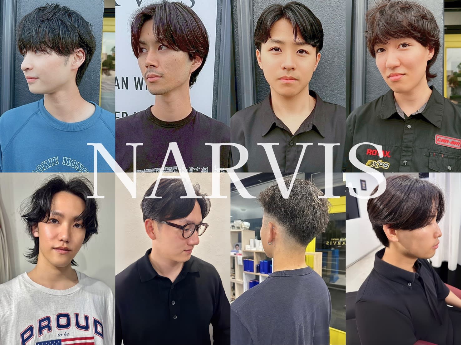 NARVIS_1