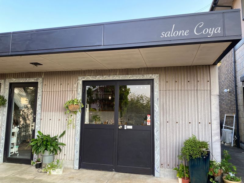 salone Coya_2