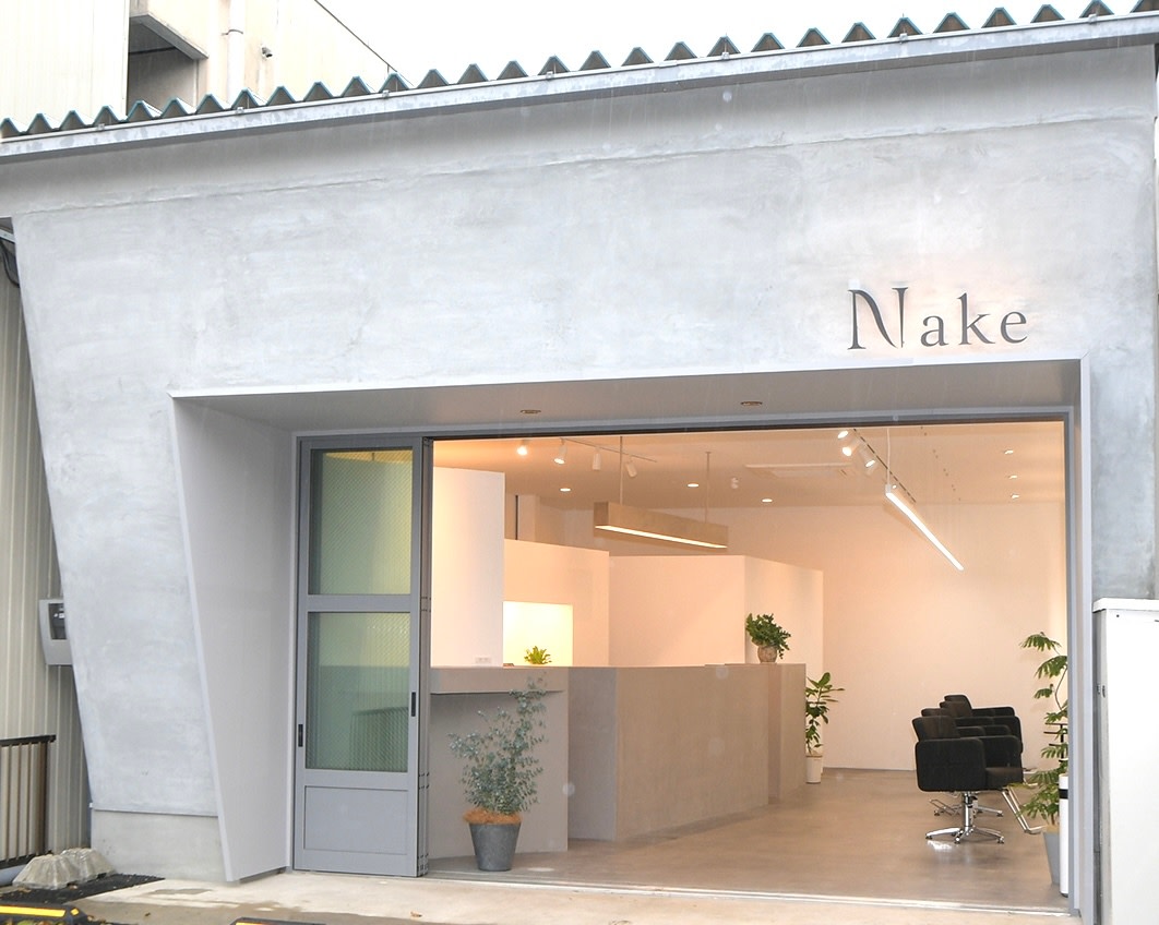 Nake_2