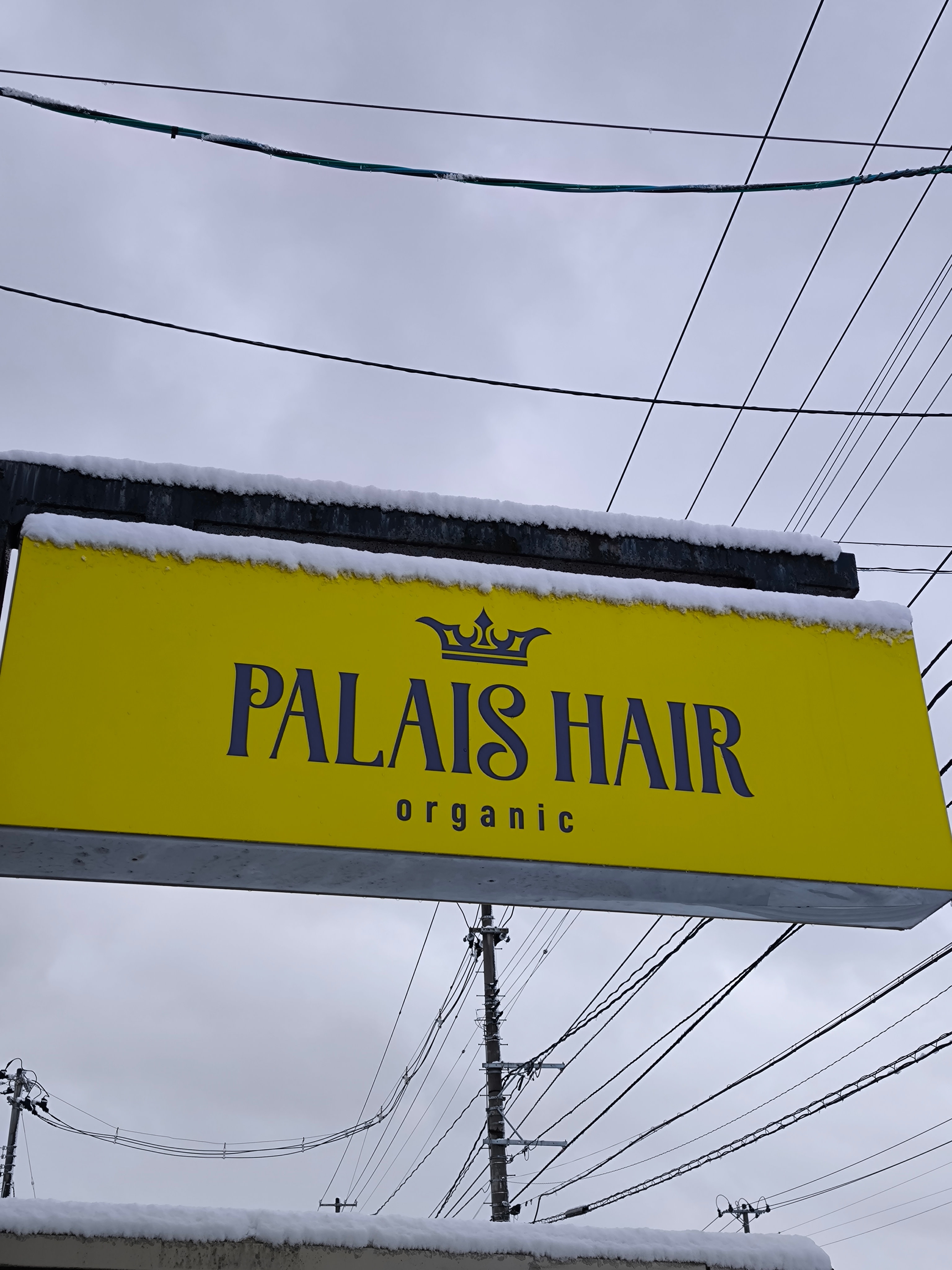 Palais Hair Organic_1