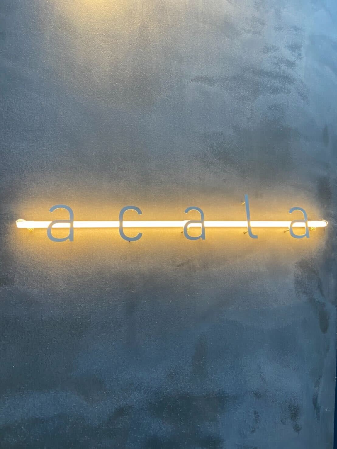 acala【アカラ】_森田　遥稀
