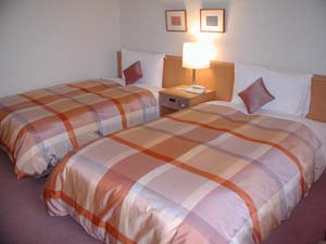 アルカディア市ヶ谷