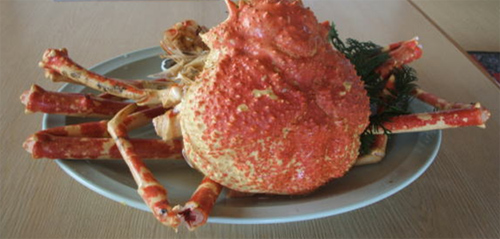 磯の宿 民宿 峯松(みねまつ)