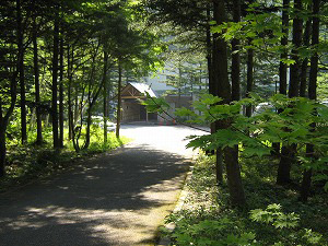 風木立の川辺　紫明館