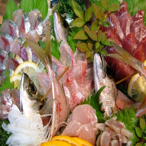 堂ヶ島温泉郷　宇久須　お刺身と天然温泉の宿　伊豆一