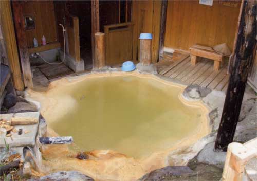 源泉の宿　郷の湯旅館