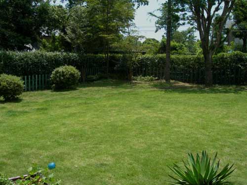 癒やしのわんこ宿　にこまめち