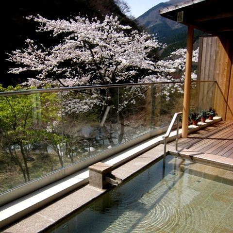 中川温泉　信玄館