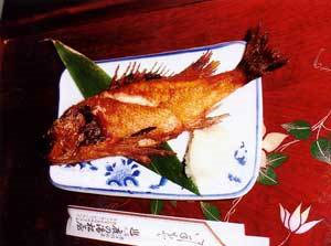 湯の網温泉　鹿の湯松屋