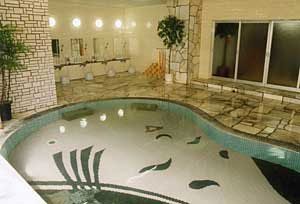 飯坂温泉　福すむ宿　福住旅館