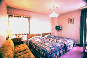 ホテルアークイン てんねん