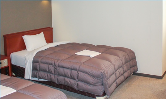 ホテルリブマックスBUDGET浜松駅前