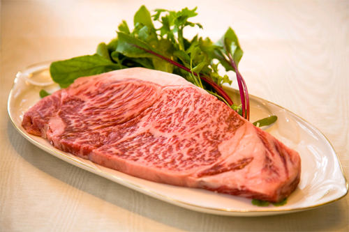 森のやさしさに包まれる小さな宿　銀の森