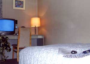 ビジネスイン たけのや