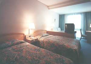 隠岐ビューポートホテル <隠岐諸島>