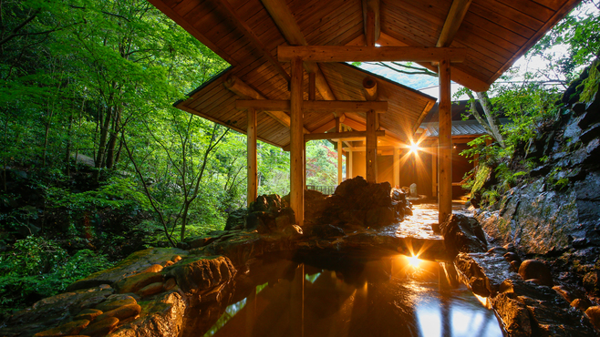 湯山荘　阿讃琴南