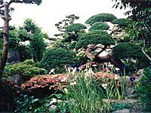 金沢屋旅館 <佐渡島>