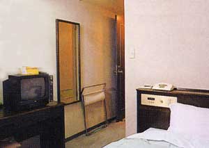 ビジネスグリーンホテル日野