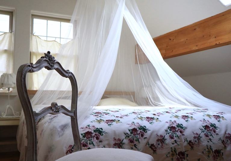 Ｌａ　ｐｅｔｉｔｅ　ｍａｉｓｏｎ