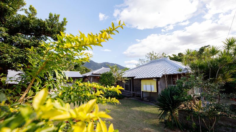伝泊 徳之島(天城町)<徳之島>