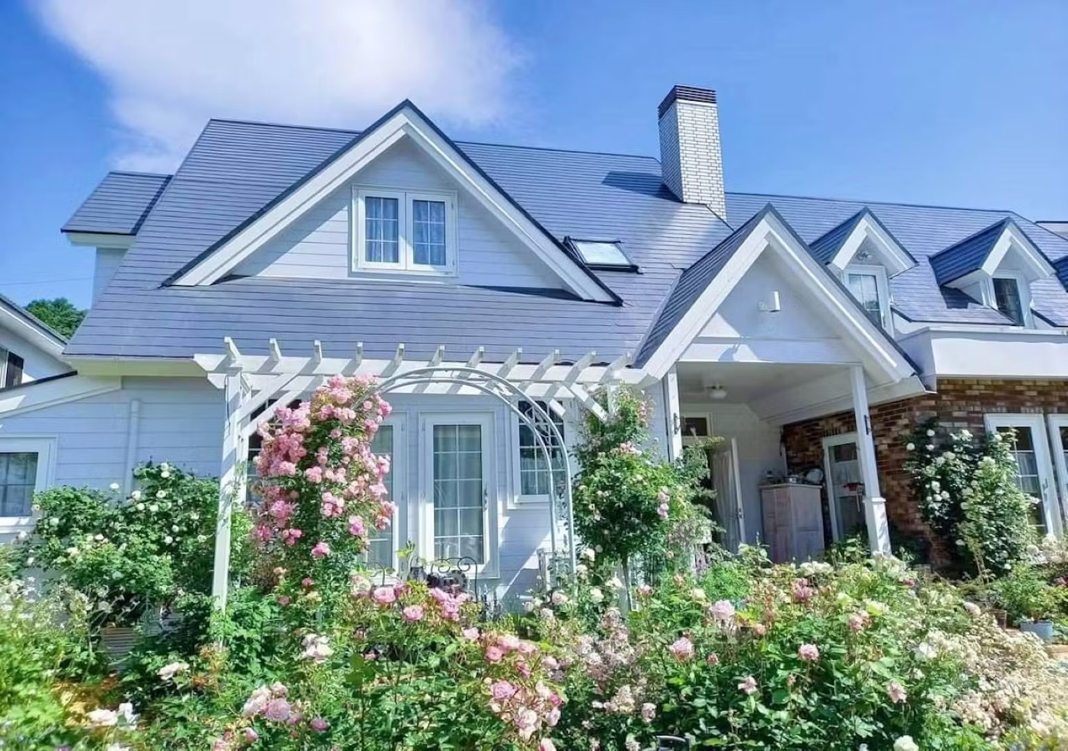 猫のいるペンション　カスティール　＾