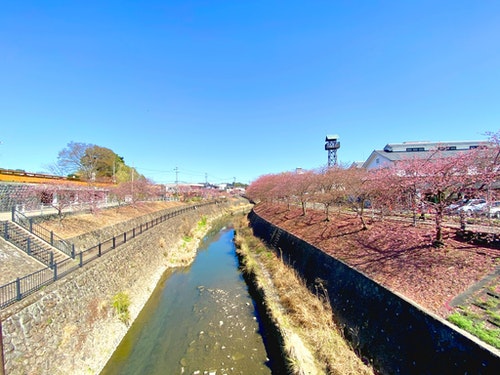 Ｗｈｉｔｅ　Ｓｐａｃｅ　　＾