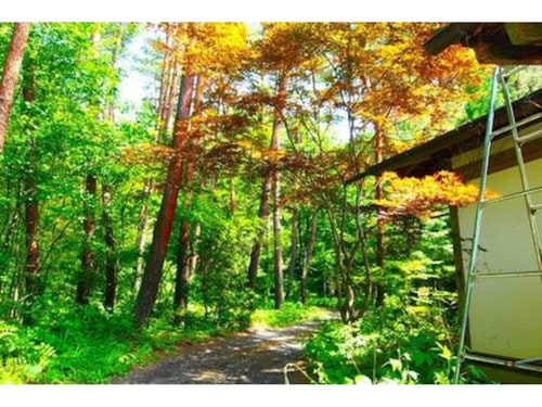 お宿 森のたね ^