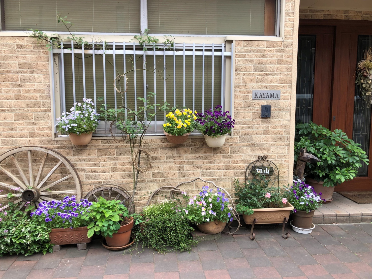 Hana館 《バラの町福山》/民泊