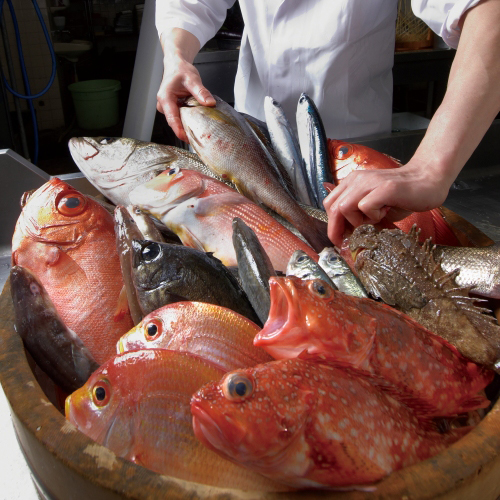 湯田温泉　湯の宿　味の宿　梅乃屋