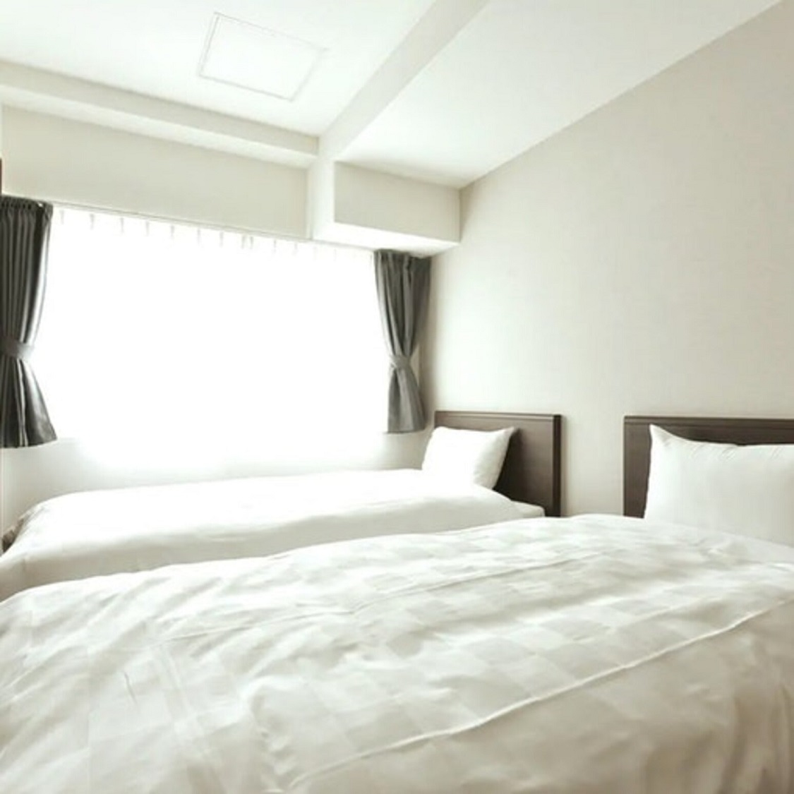 Hills Garden 本通/民泊