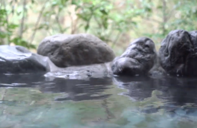 新習志野駅前　天然温泉　湯〜ねる