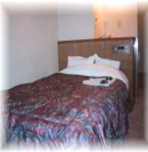 富士グリーンホテル