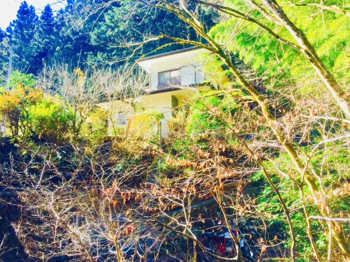 Vanguard Backpackers