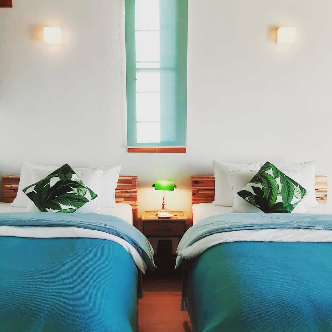 ＲＯＣＯＮＩＡ　ＴＥＲＲＡＣＥ（ロコニアテラス）