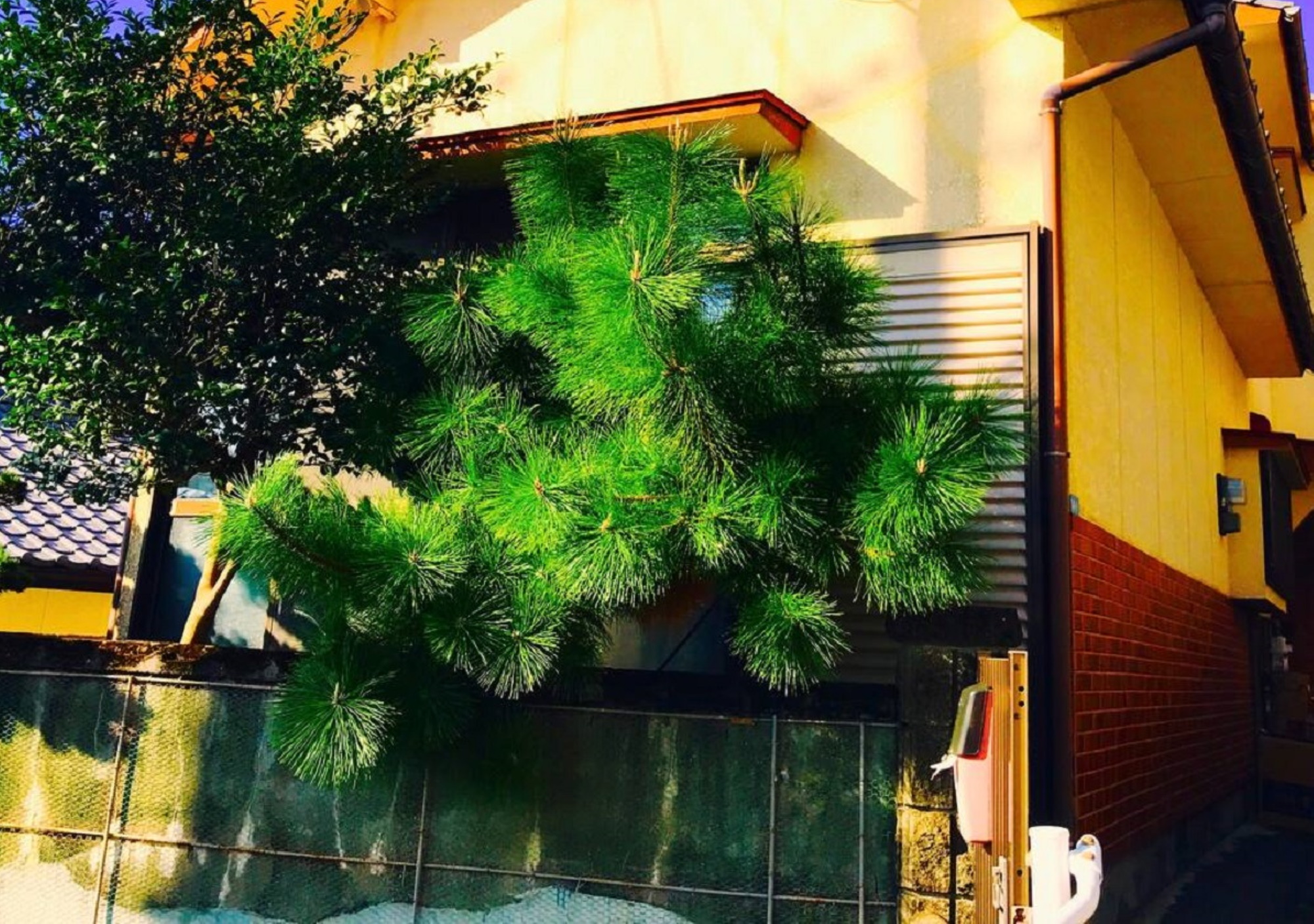 Ｏｆｕｎａｇｕｒａ　ｎｏ　ｗａｇａｙａ　Ｂｕｉｌｄｉｎｇ　Ａ