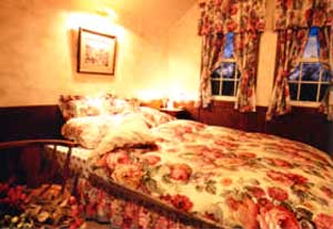 Annie Hills アニーヒルズ