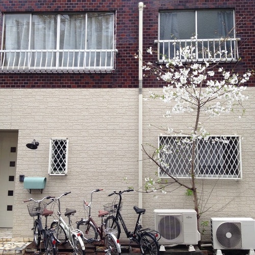 Ｔｈｉｒｄ＆Ｐｌａｃｅ　難波　芦原橋／民泊