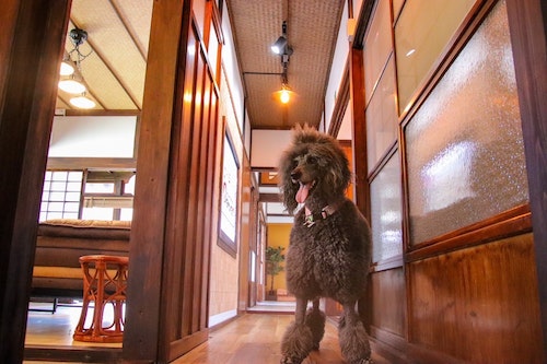 オカムラン しまなみ御殿 ^