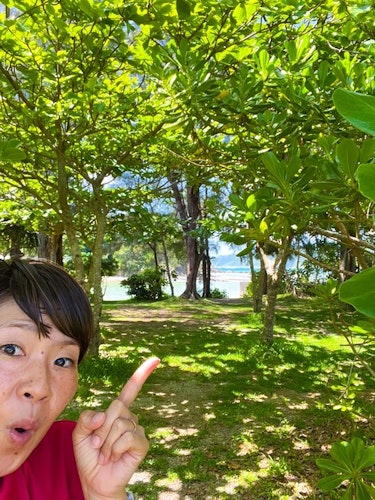 慶佐次ＣＡＭＰ　ＳＩＴＥ　＾