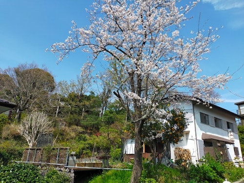 ペンション伊豆高原 ^