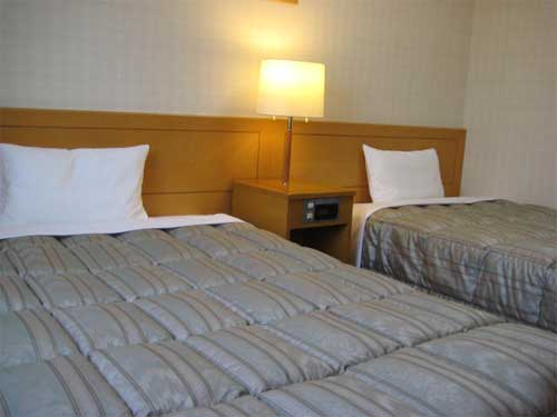 ホテルルートイン掛川インター