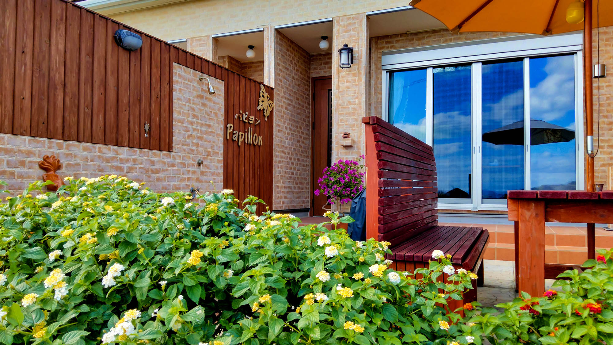 Papillon パピヨン