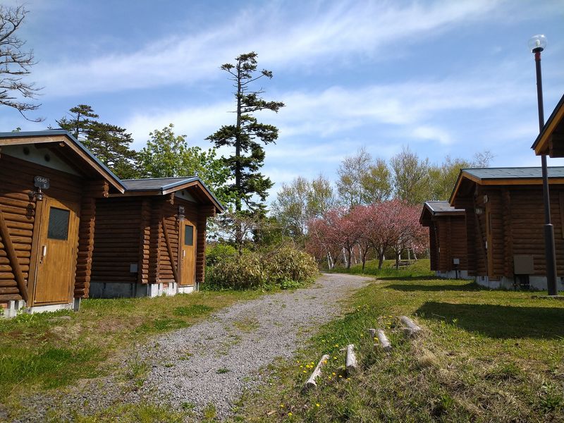 利尻町森林公園キャンプ場<利尻島>