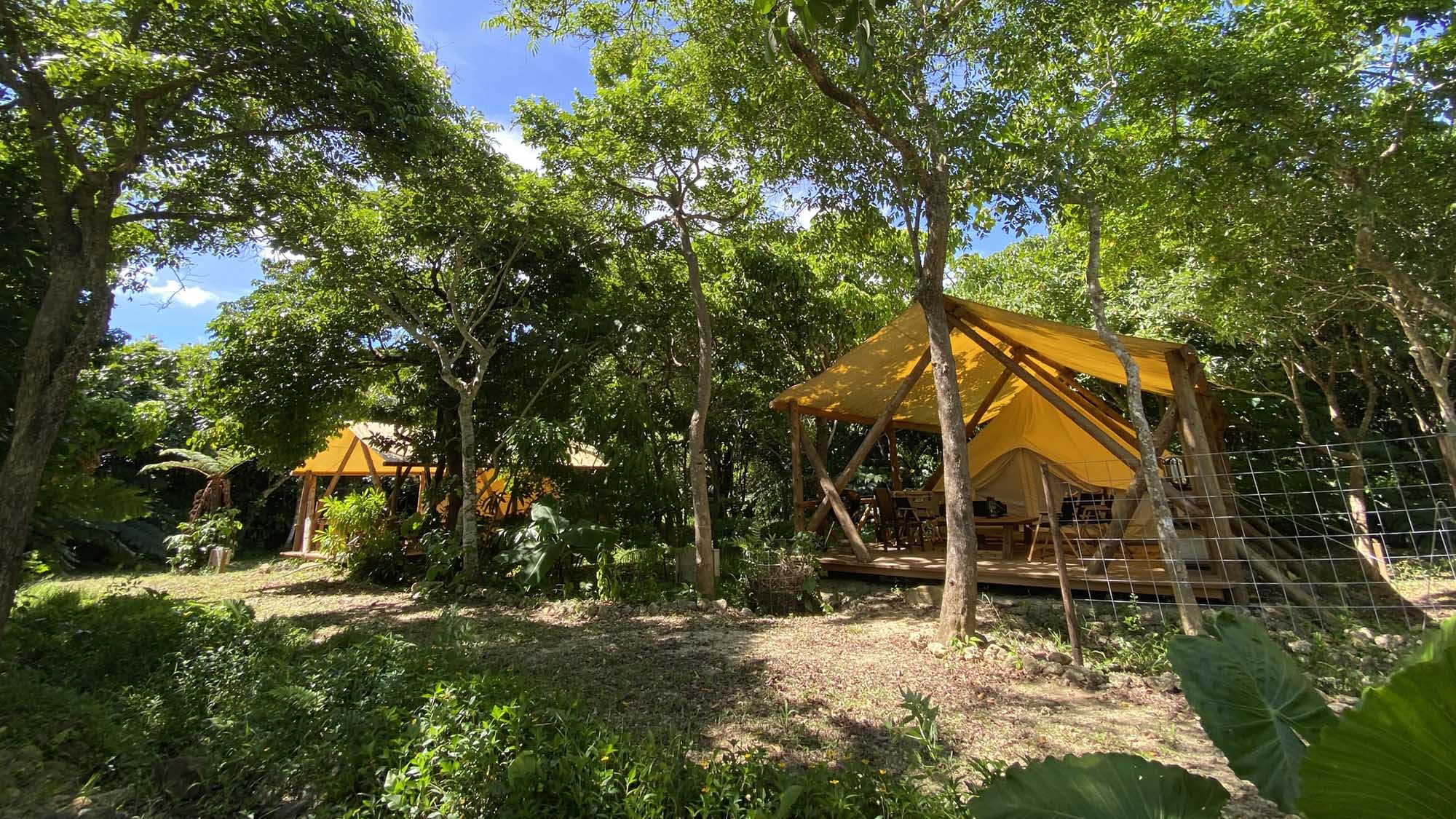 レインボーフォレスト<石垣島>