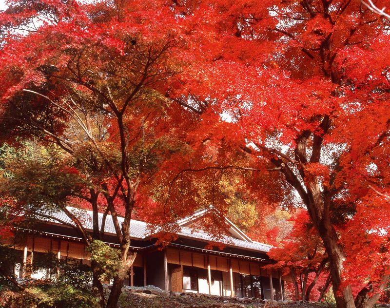 梨木館 はせを亭