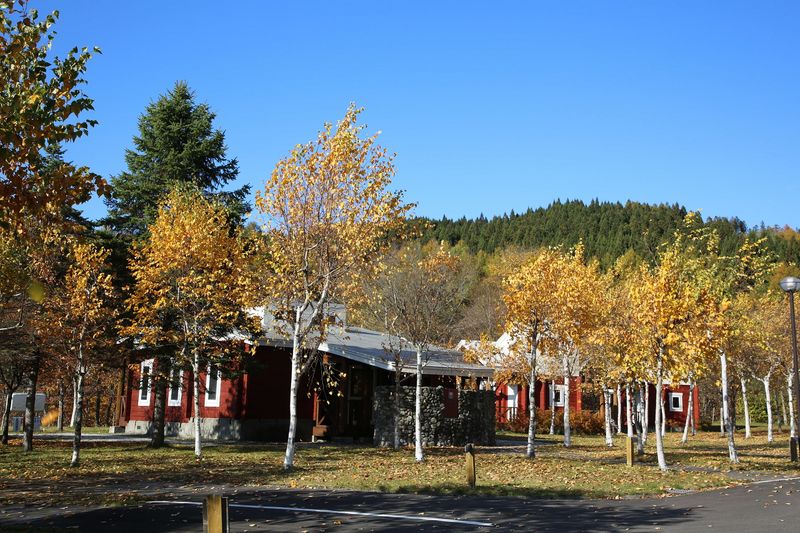 鶉ダムオートキャンプ場 ハチャムの森