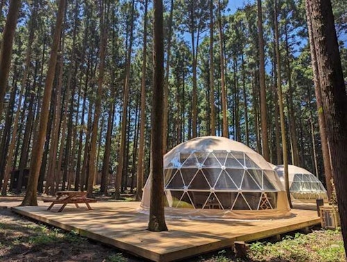 赤城 ときわぎの森キャンプ場 ^