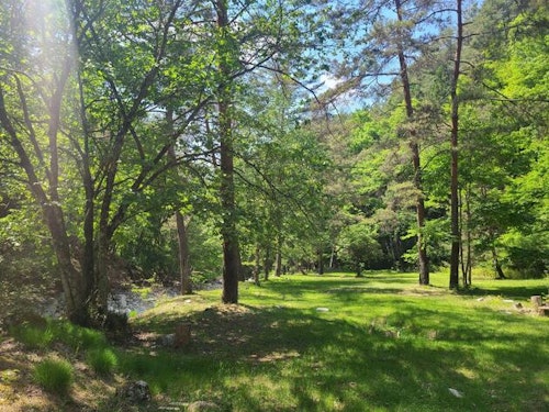 野田平キャンプ場 ^